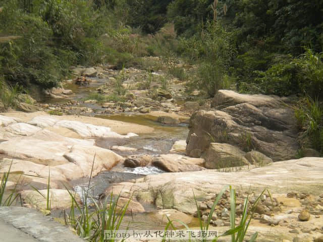 DSCN0128.jpg
