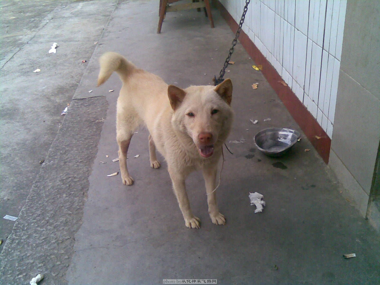 20100605(028).jpg
