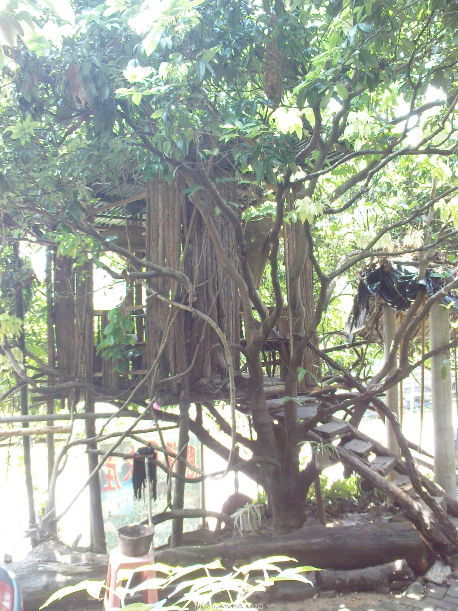 DSC00017.jpg