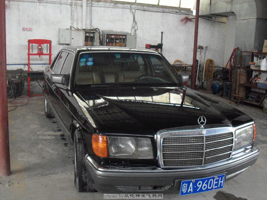SDC10474.GIF