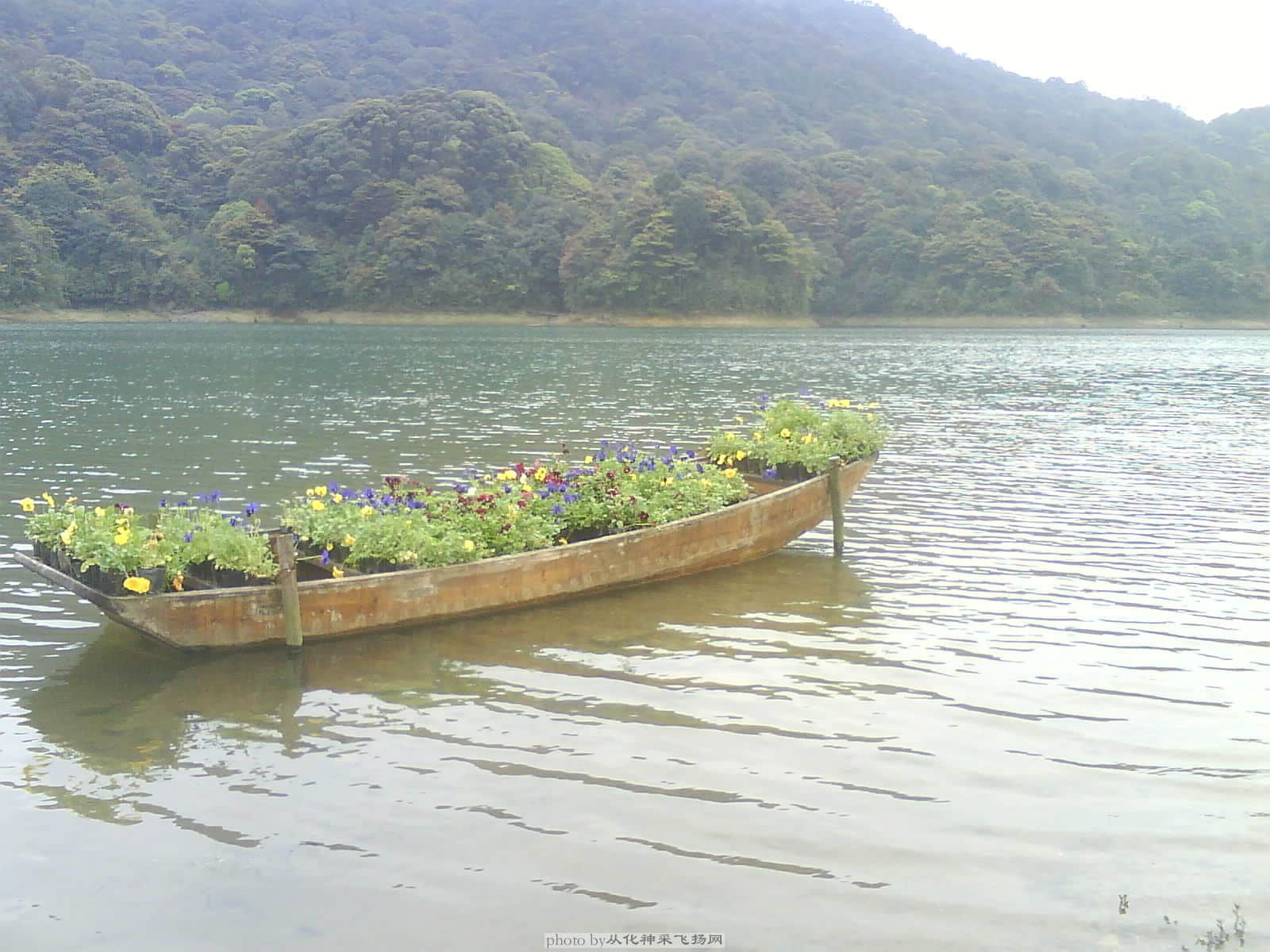 DSC00018.JPG