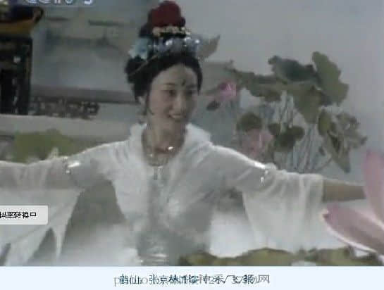 鹤仙.jpg