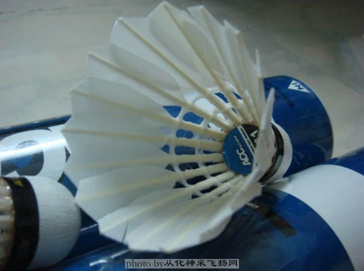 200852294953.jpg