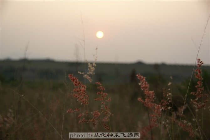 105.jpg