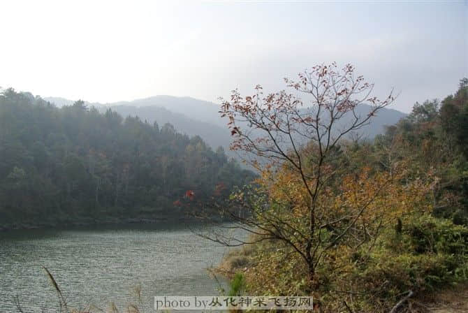 73.jpg