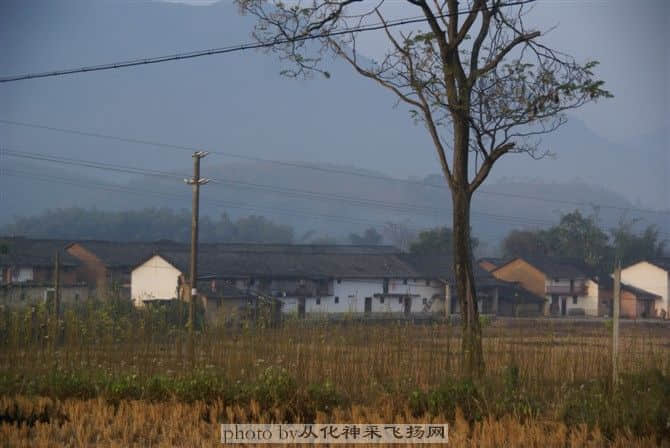 57.jpg