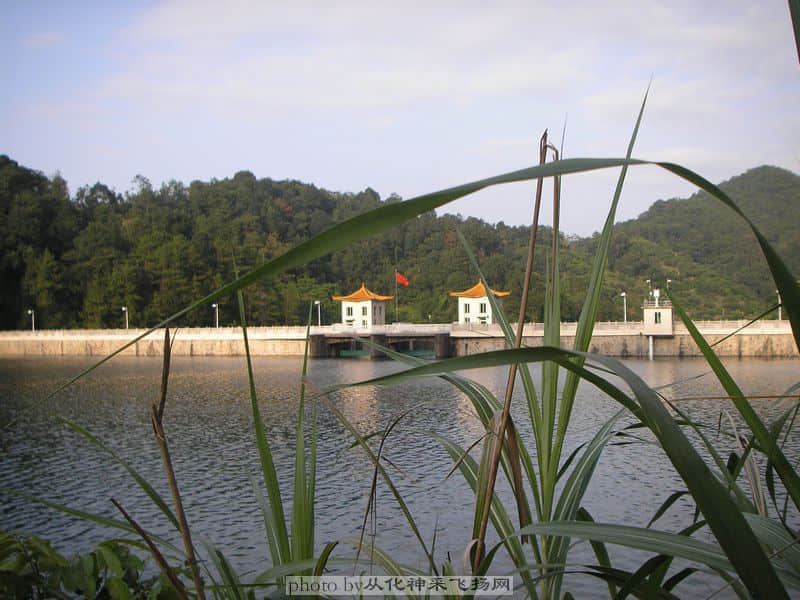 PA025561.JPG