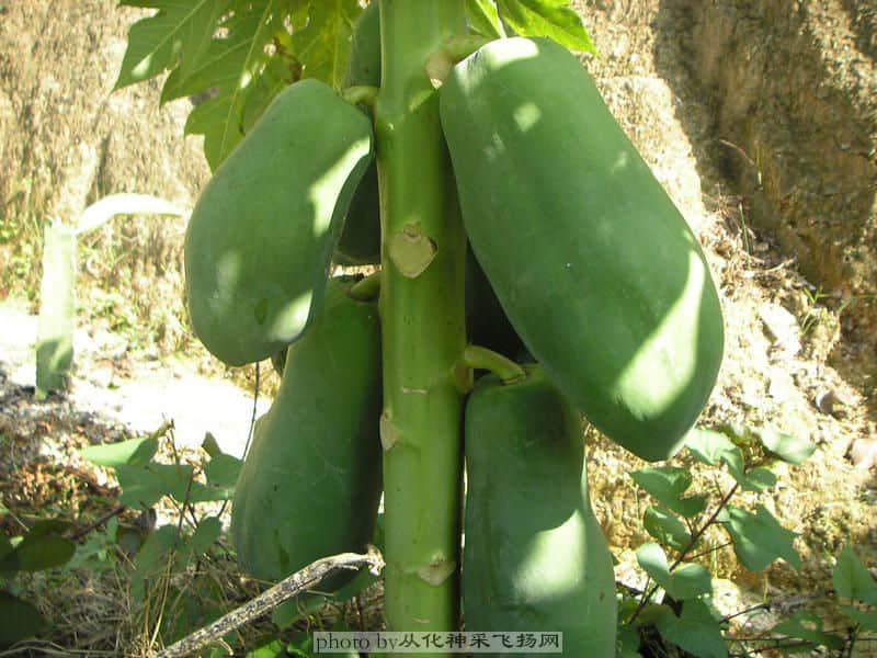 PA025477.JPG