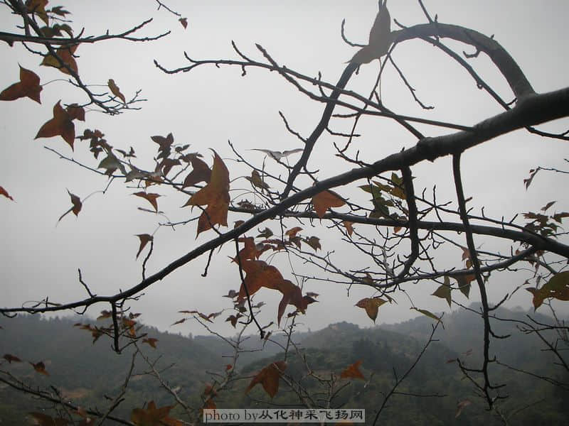 PC115525.JPG