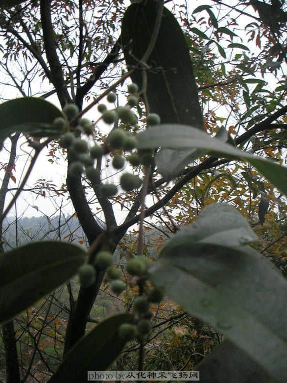 PC115521.JPG