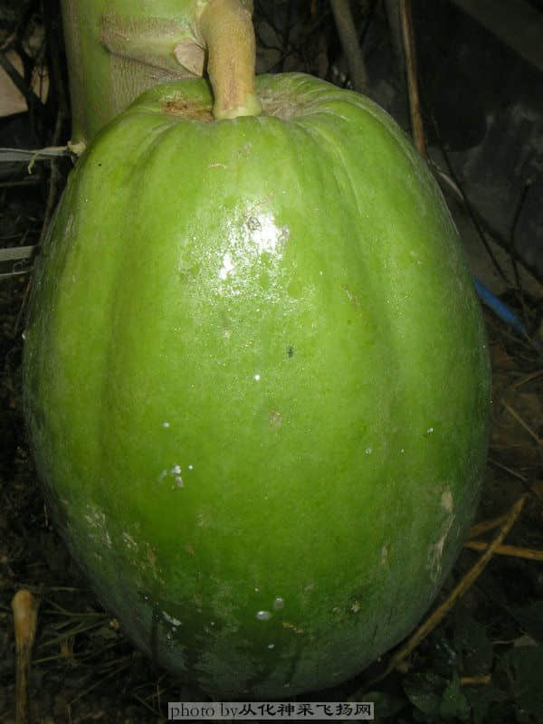 PC115537.JPG