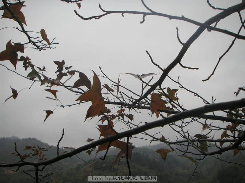 PC115527.JPG
