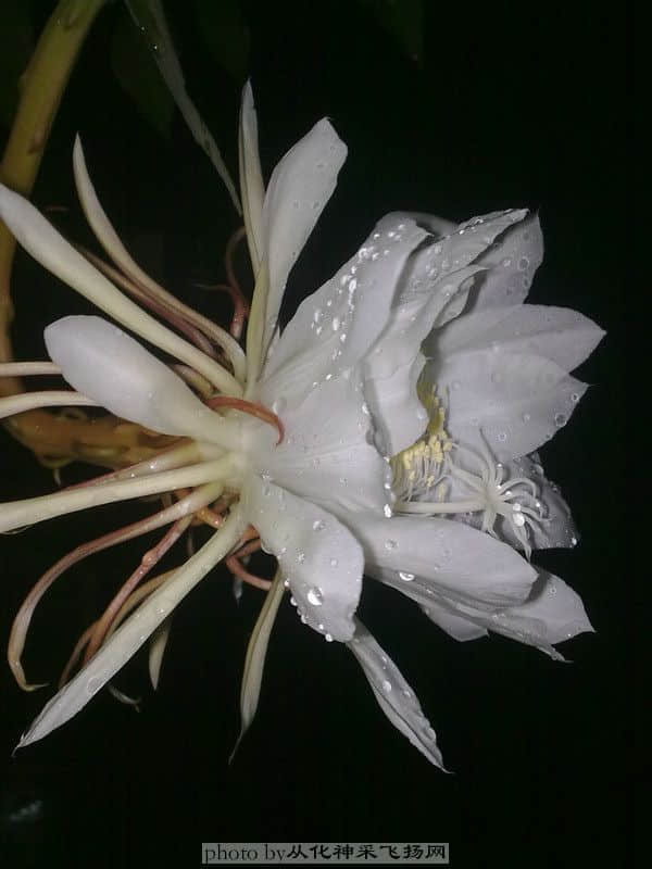 20100717257.jpg