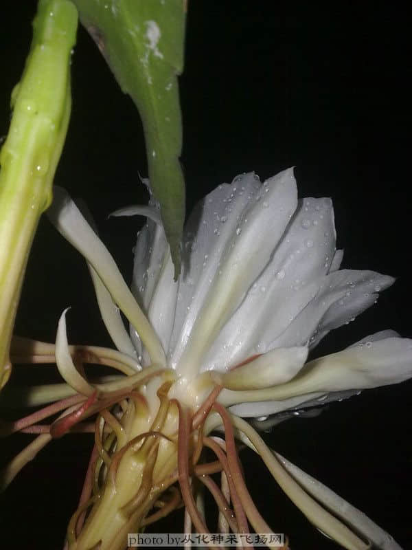 20100717259.jpg