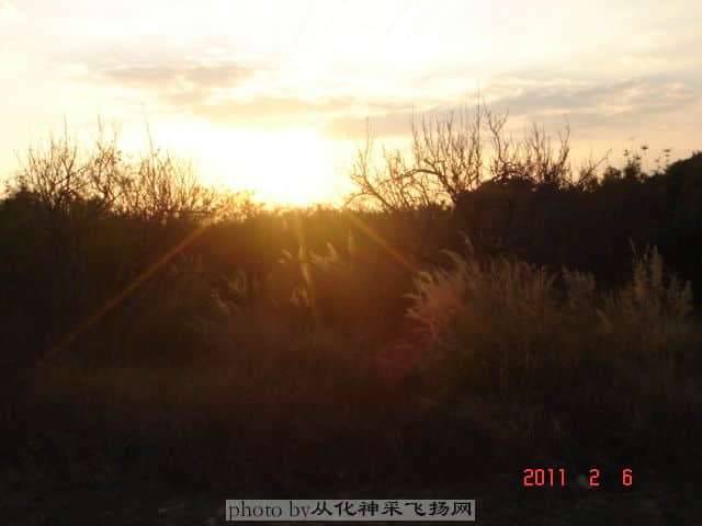 DSC06916.JPG