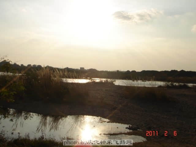 DSC06879.JPG
