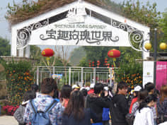 玫瑰世界人气旺1.jpg