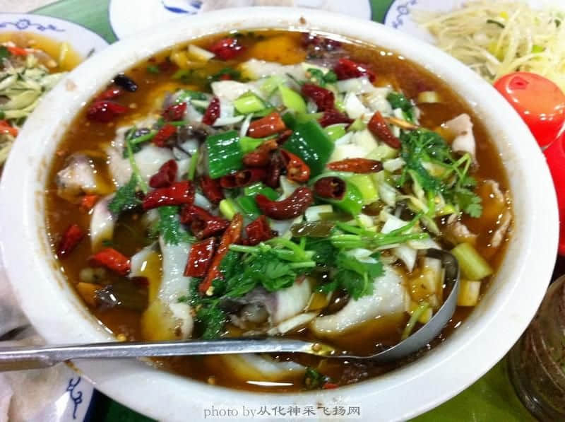 照片 978.JPG