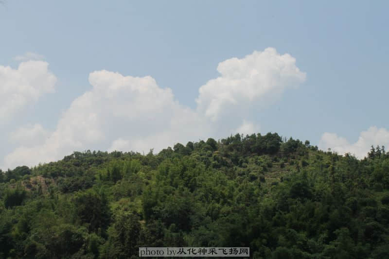 IMG_0500.JPG