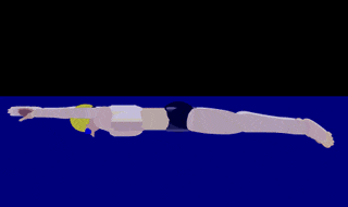 游泳2.gif