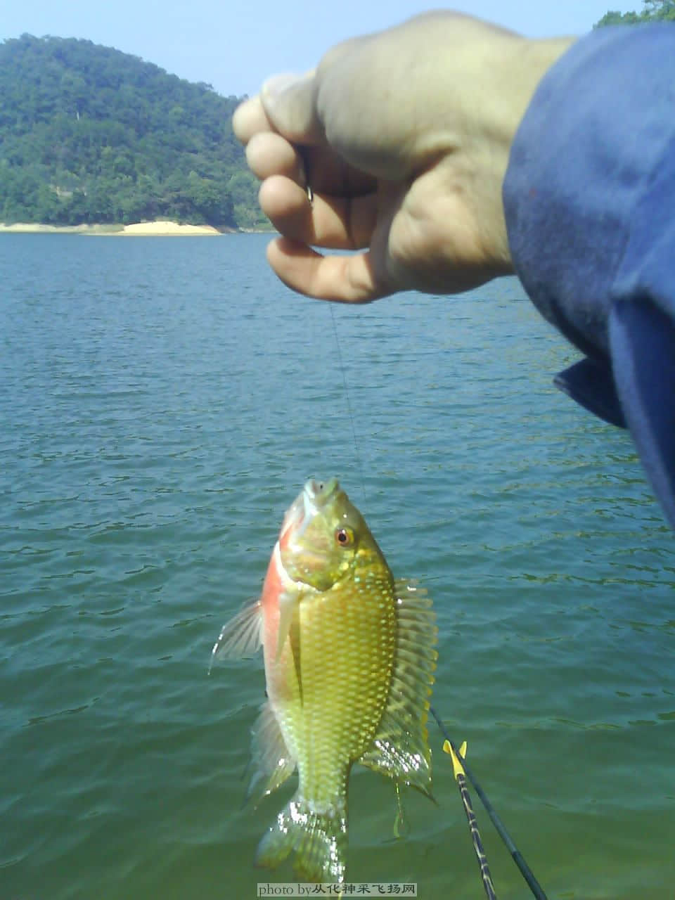 DSC09115.JPG