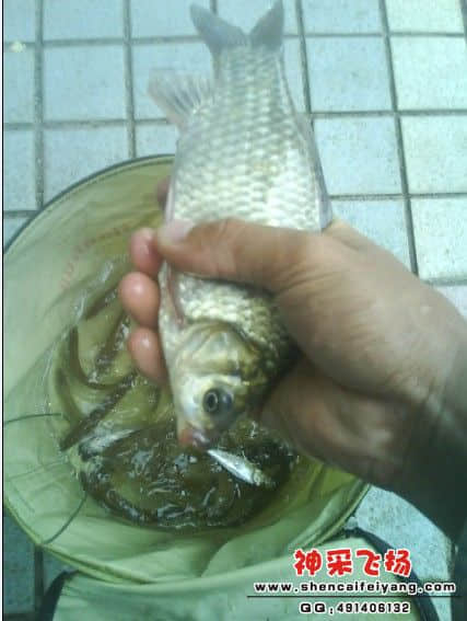 13.jpg