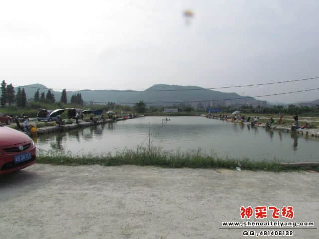 活动现场.jpg