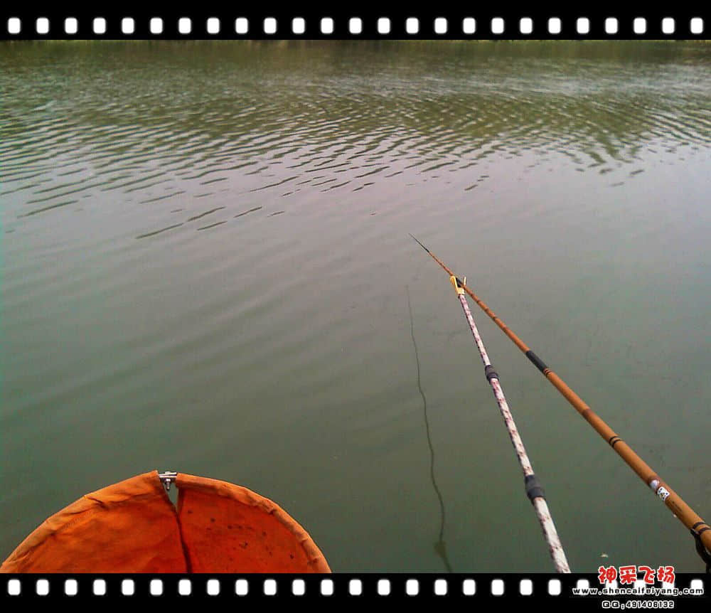 IMAG0198.jpg