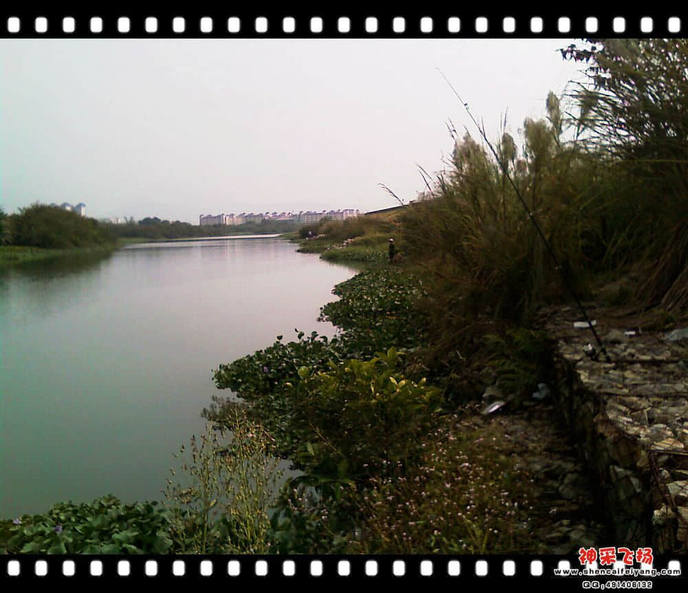 IMAG0193.jpg