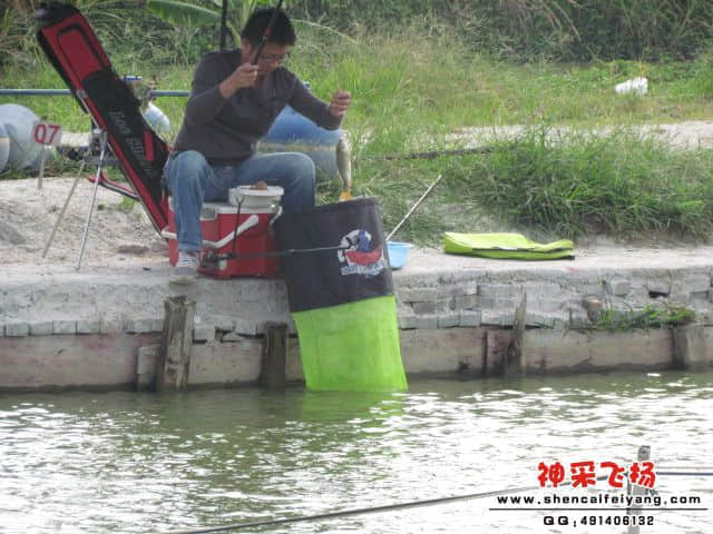 波仔.jpg