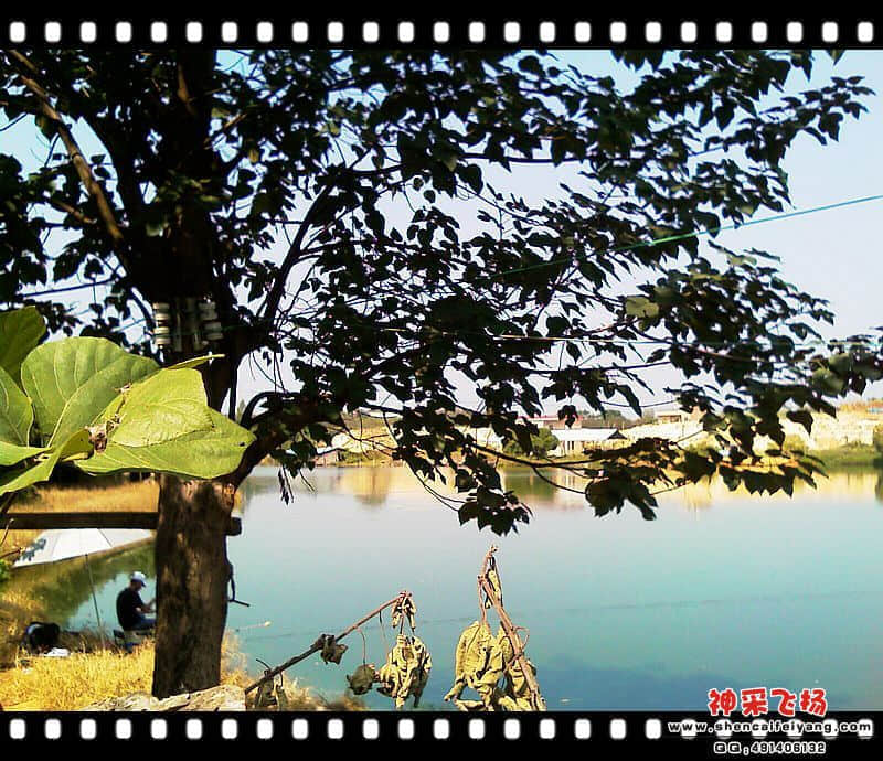 IMAG0202.jpg