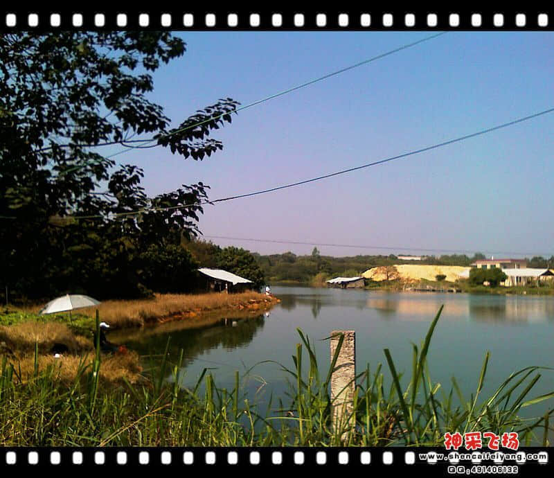 IMAG0203.jpg
