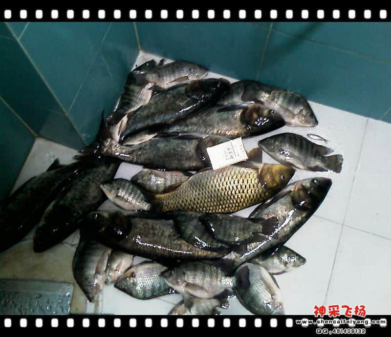 IMAG0214.jpg