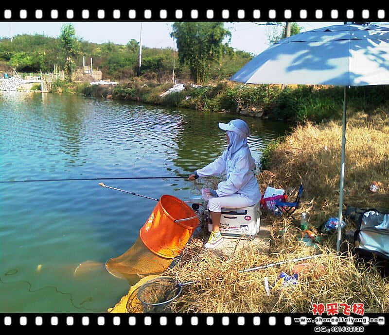 IMAG0207.jpg