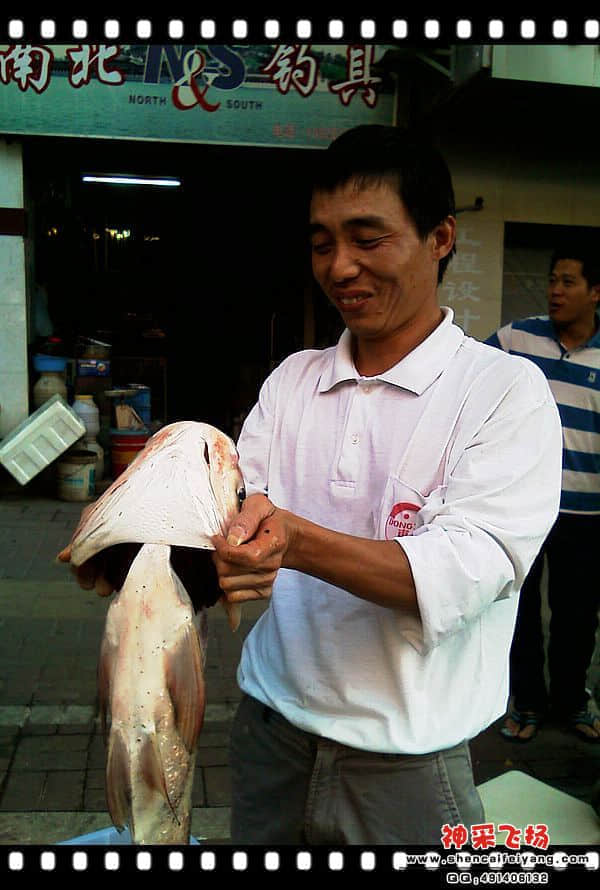 IMAG0213.jpg