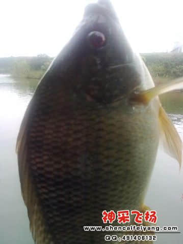 1HZ%HL`6%[[I@LHP(CDYH7X.jpg