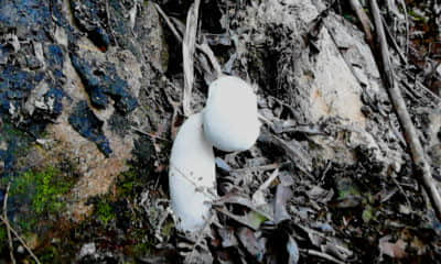 20110924_1128_1.jpg