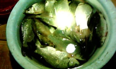 20111106_1849_0.jpg