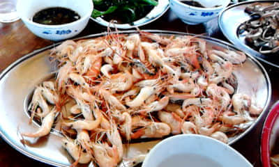 20111018_1419_1.jpg