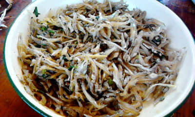 20111018_1419_2.jpg