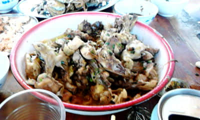 20111018_1420_0.jpg