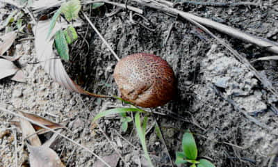 20110924_1124_1.jpg