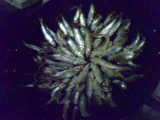 IMG0168A.jpg