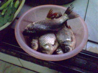 IMG0173A.jpg
