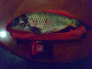 IMG0171A.jpg