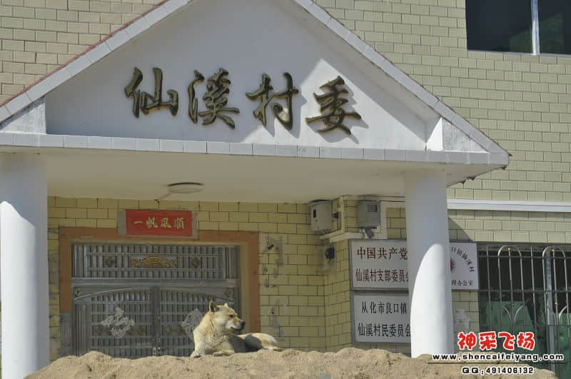 照片 544.jpg
