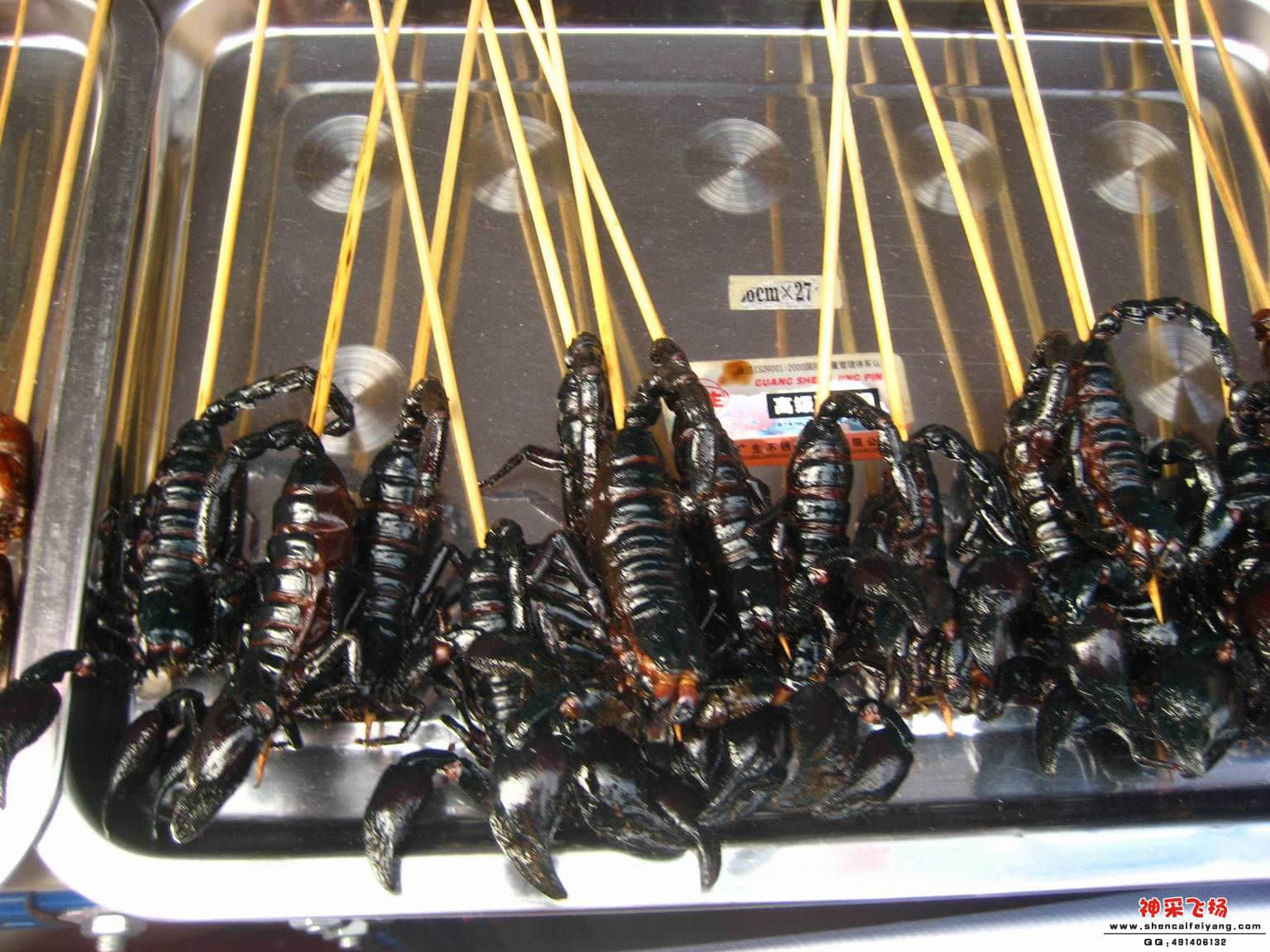 照片 151.jpg