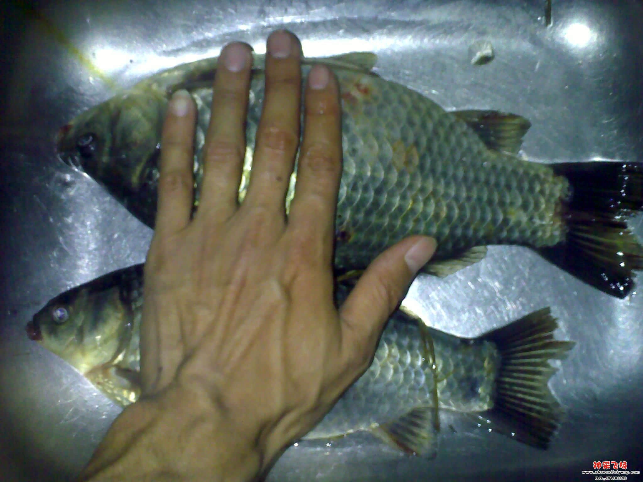 201112171620.jpg