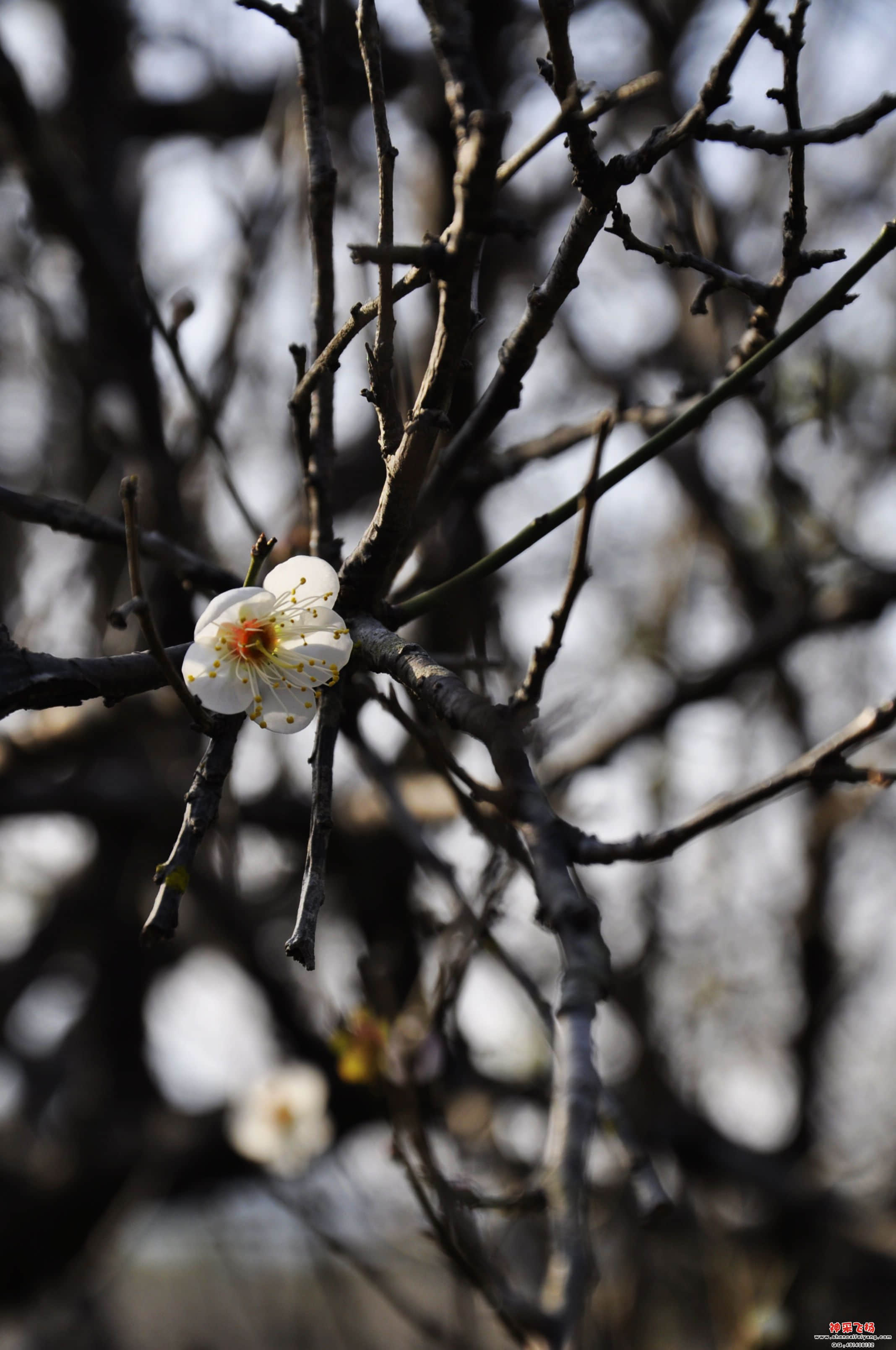 照片 1174.jpg