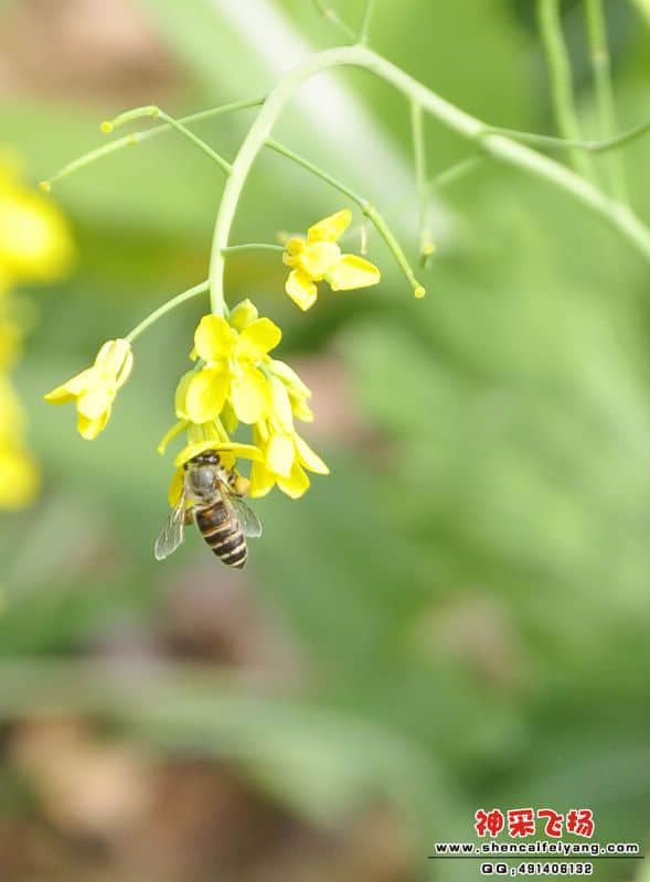 照片 178.jpg